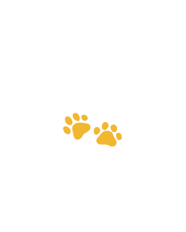 animalsalon niko